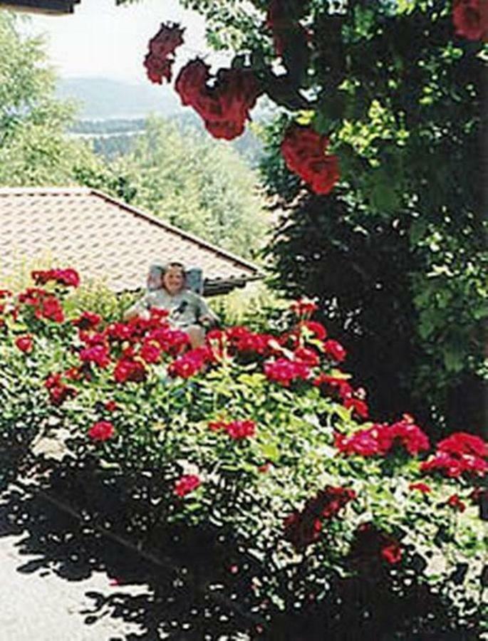 דירות Prackenbach Haus Bergblick Bay. Wald מראה חיצוני תמונה