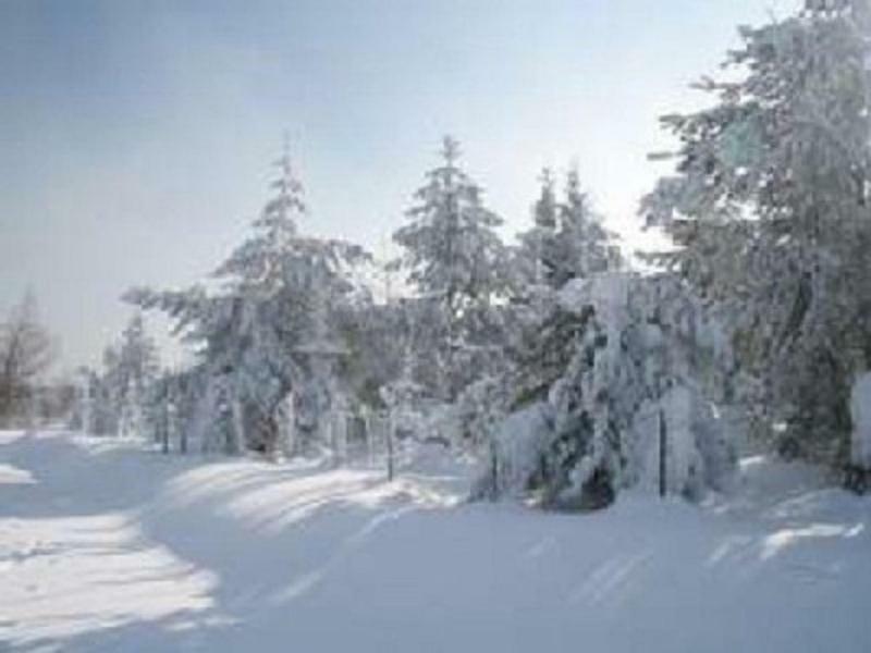 דירות Prackenbach Haus Bergblick Bay. Wald מראה חיצוני תמונה